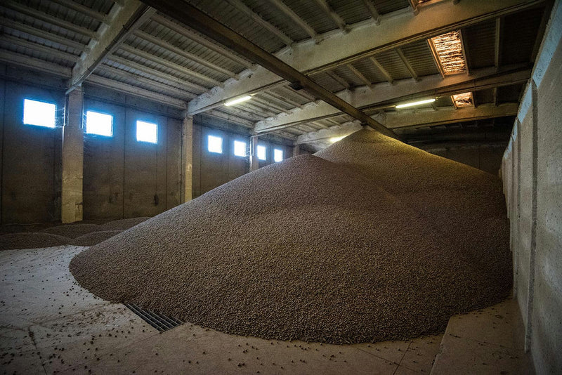 montagna di nocciole in un silos - photobranding.it - scopri di più