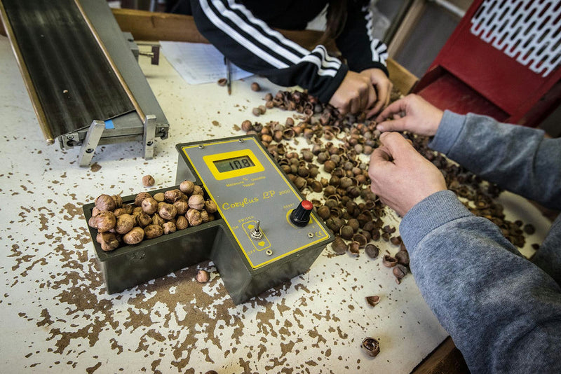 macchinario che stabilisce il calibro delle nocciole - photobranding.it - scopri di più