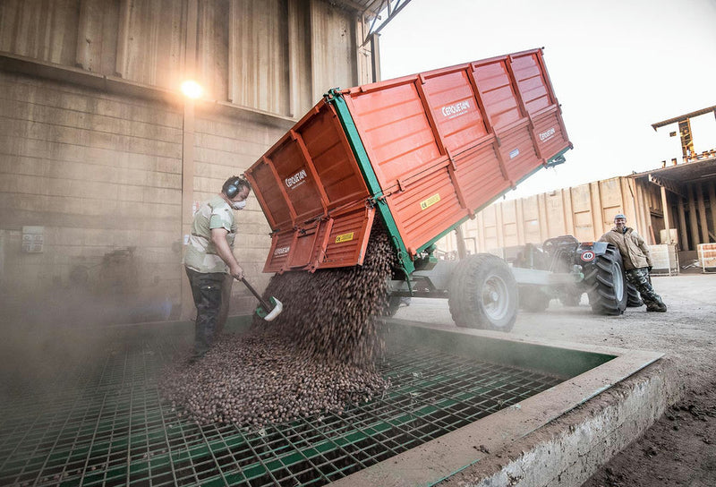 pozzetti per stivare le nocciole - photobranding.it - scopri di più