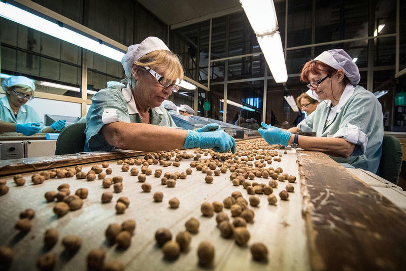 operaie allo smistamento delle nocciole - photobranding.it - scopri di più