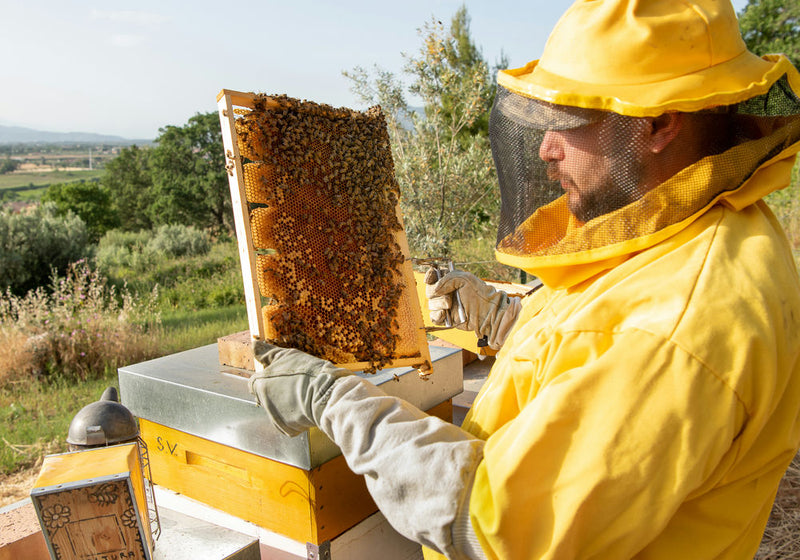 Servizio fotografico per apicultori - photobranding.it - scopri di più