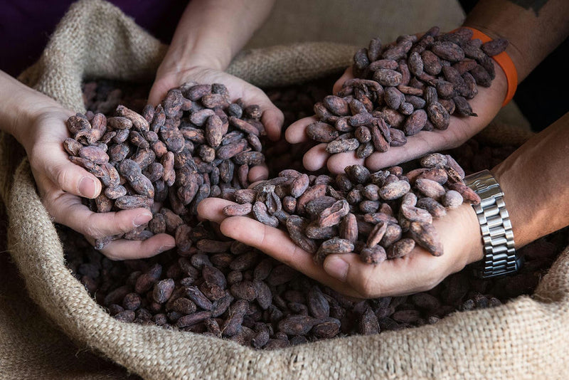 le fave di cacao - photobranding.it - scopri di più