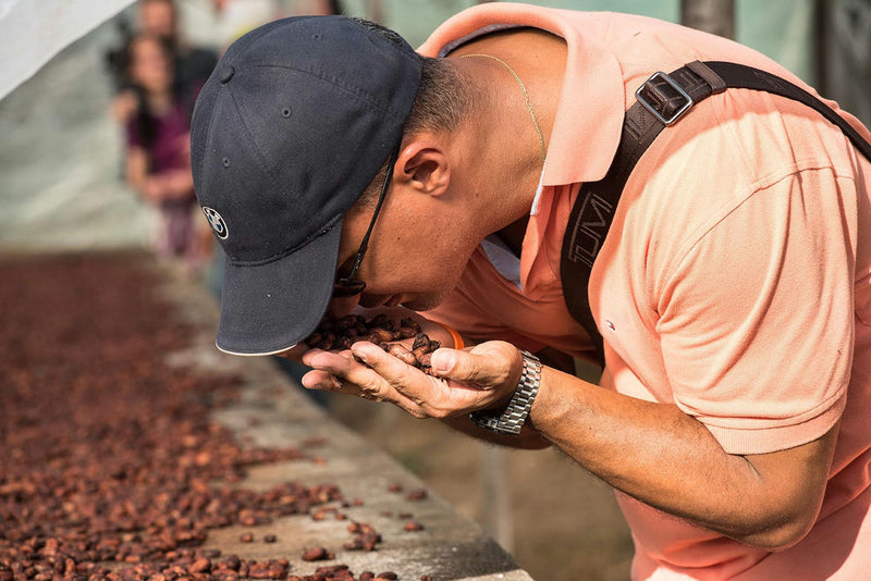 valutazione olfattiva delle fave di cacao - photobranding.it - scopri di più